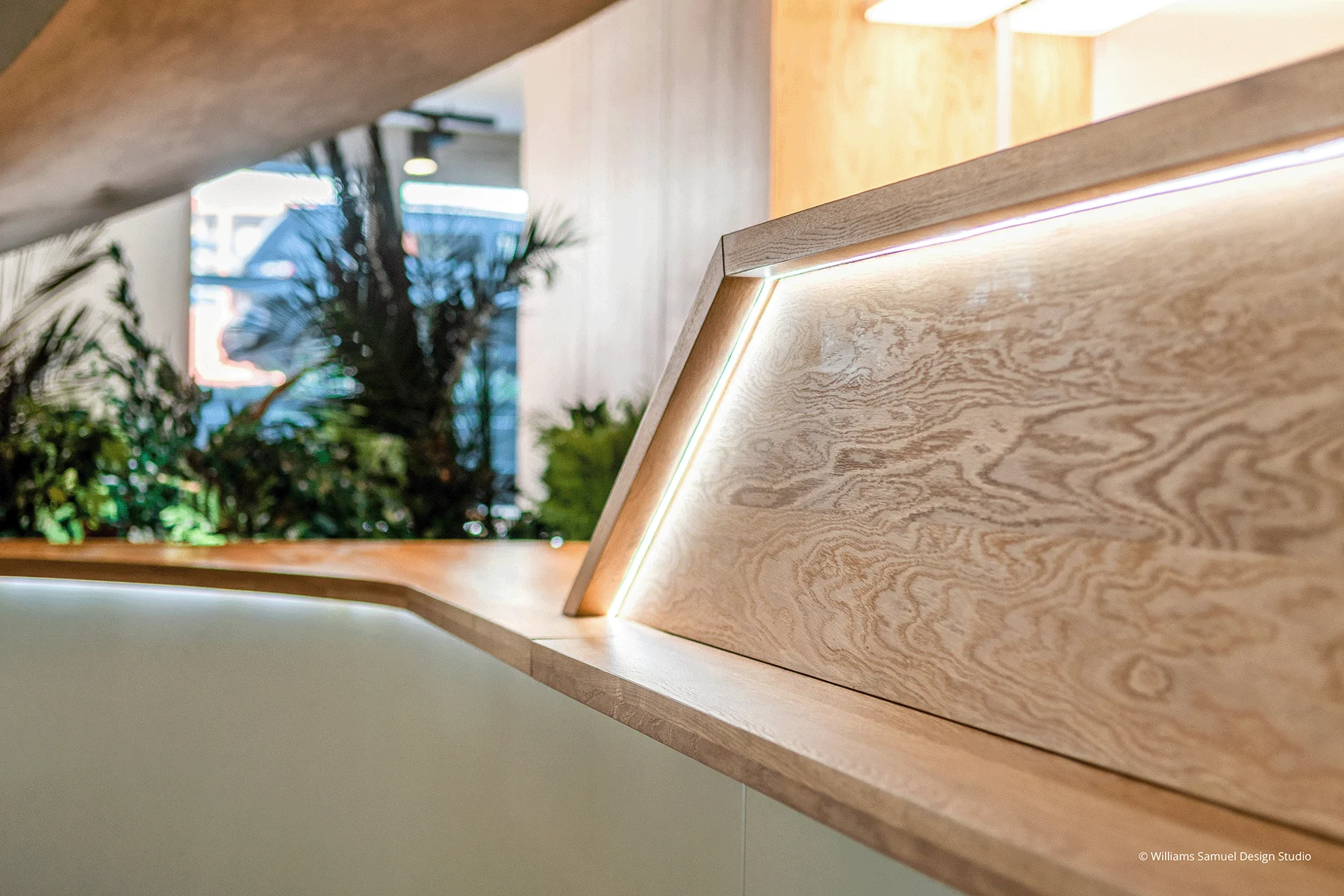 Détail de bois et de lumière